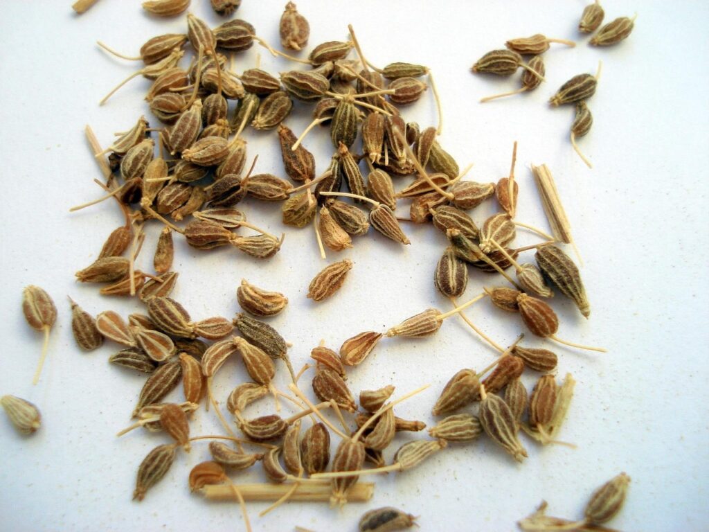 Brigidini di Lamporecchio: The Tuscan Anise Wafer Recipe