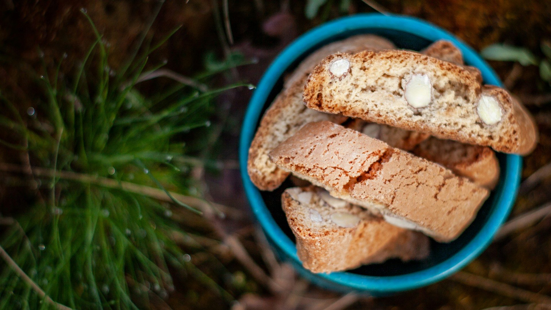 Cantucci toscani con mandorle intere in una ciotola azzurra